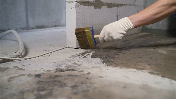 SJ Waterproofing Pros Waterproofing coverage map for Morristown, TN and surrounding area